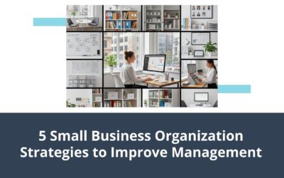 5 Small Business Organization Strategies to Improve Management